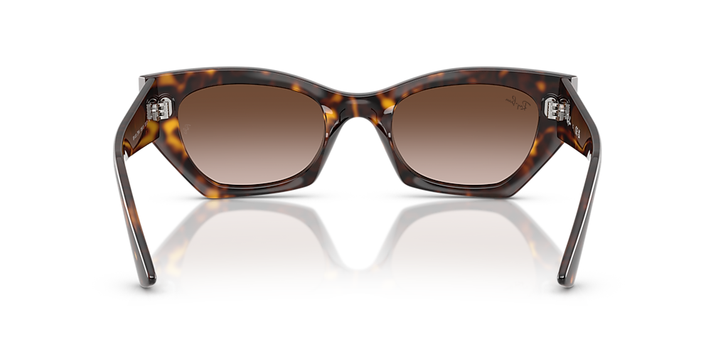Ray-Ban Zena Bio-Based M (52 - 22) with Brown lenses and Tortoise