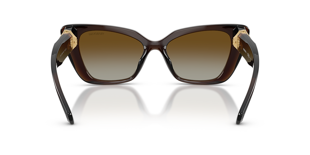 Swarovski SK6047 XS (54 - 17) with Brown lenses and Brown frame