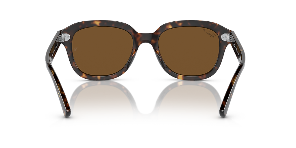 Ray-Ban Erik L (51 - 20) with Brown lenses and Tortoise frame