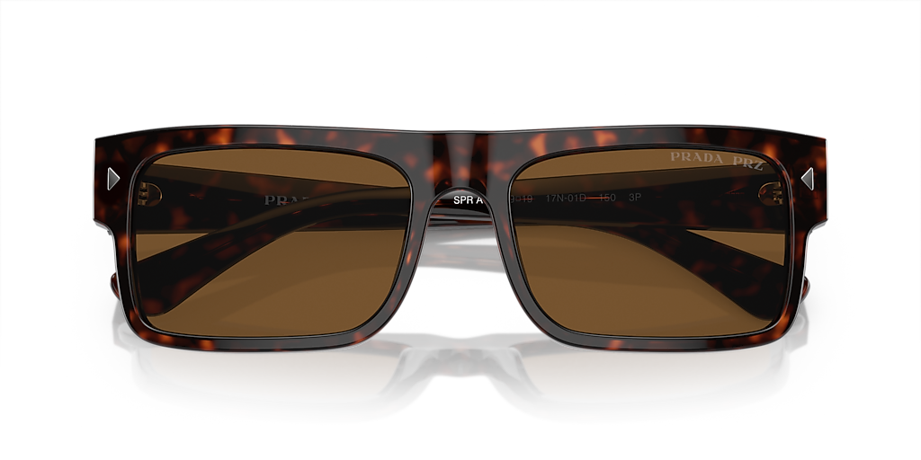 Prada PR A10S XL (59 - 19) with Brown lenses and Tortoise frame