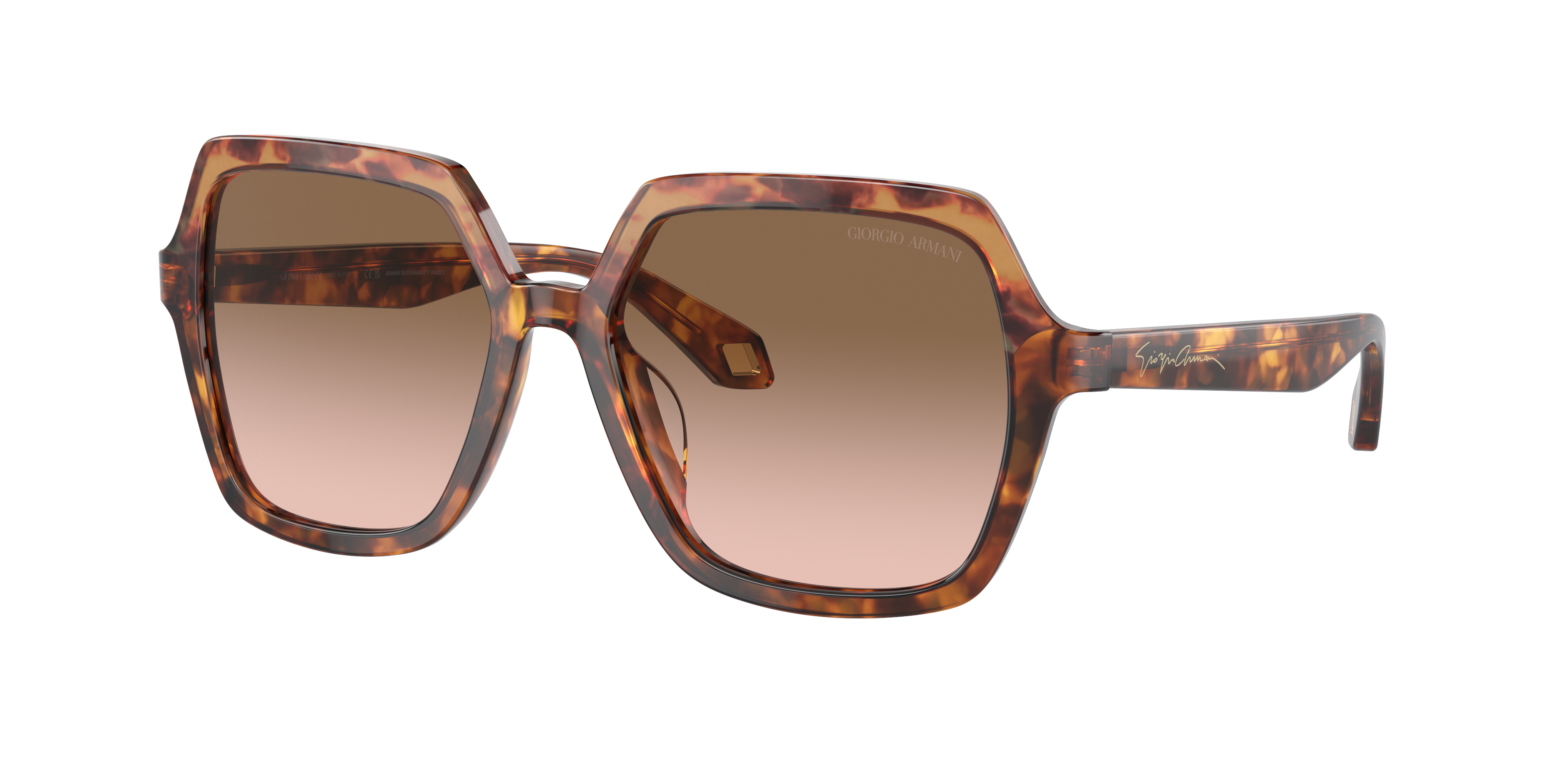 Giorgio Armani AR8193U XL (55 - 17) with Brown lenses and Brown