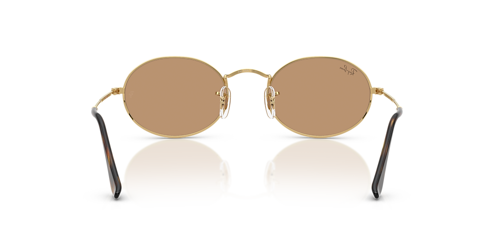 Ray-Ban Oval Metal Summer Capsule M (51 - 21) with Brown lenses