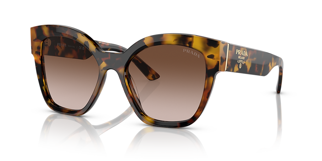 Prada PR 17ZS M (54 - 18) with Brown lenses and Tortoise frame
