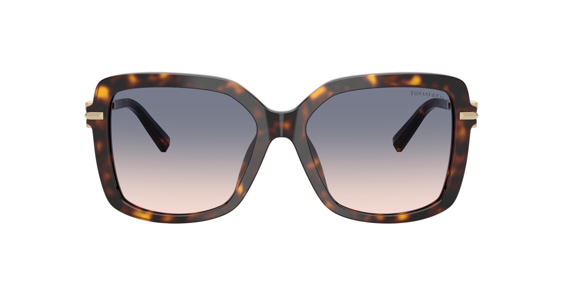 Tiffany & Co. TF4252B XL (55 - 16) with Brown lenses and Tortoise