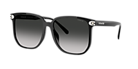 Coach CW419 XL (58 - 16) with Grey lenses and Black frame