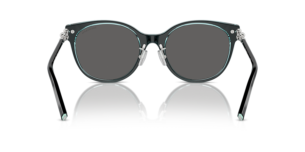 Tiffany & Co. TF4223D XL (54 - 20) with Grey lenses and Black