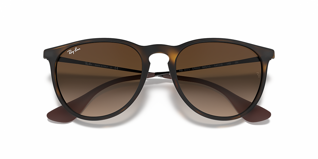 Ray-Ban Erika Classic M (54 - 18) with Brown lenses and Brown