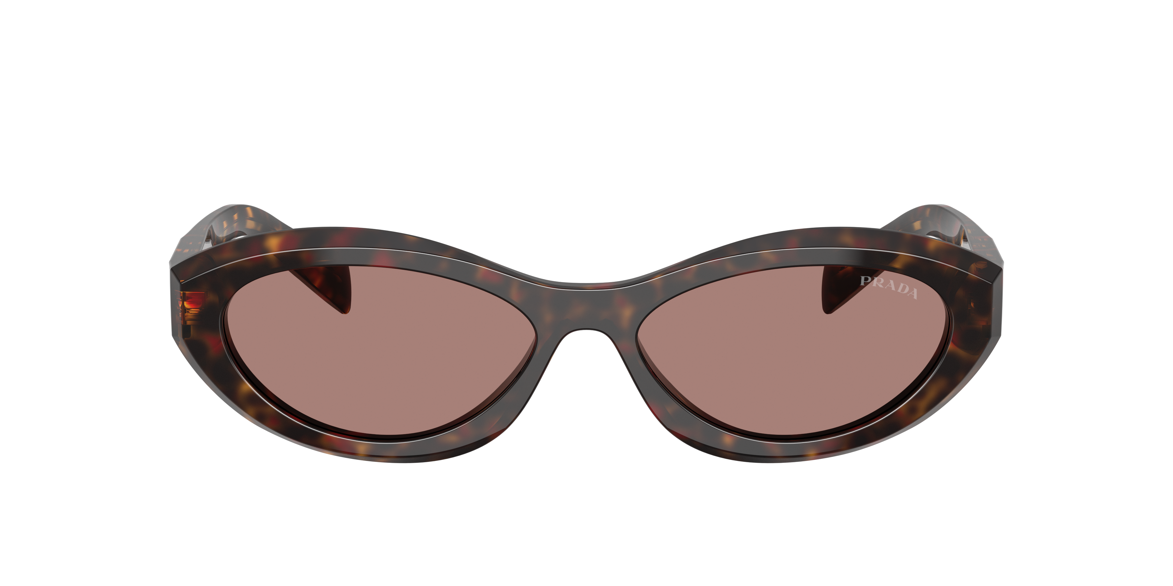 Prada PR 26ZS M (55 - 16) with Brown lenses and Tortoise frame