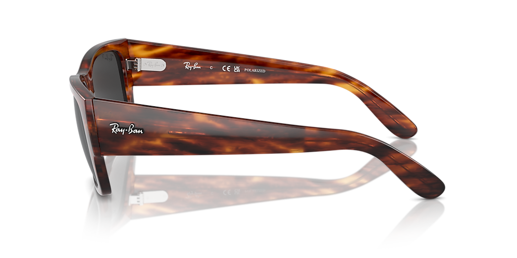Ray-Ban Carlos M (56 - 18) with Black lenses and Brown frame  display picture 1
