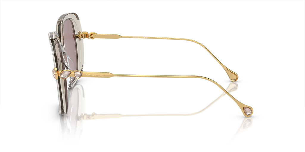 Swarovski SK6011 XL (55 - 17) with Violet lenses and Brown frame